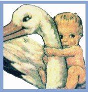 aromababy logo