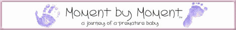 momentbymoment banner